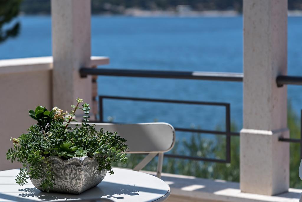 Apartman Roza Рогозница Екстериор снимка